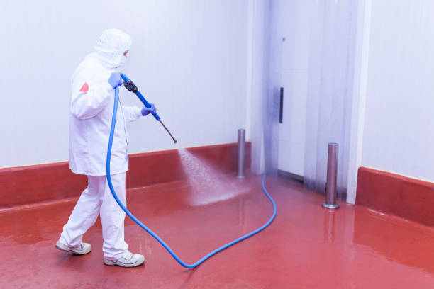  North Weeki Wachee, FL Pressure Washing Pros